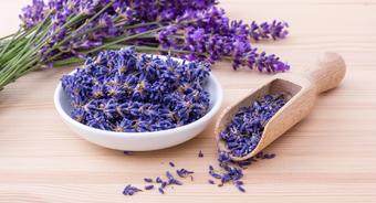 Przyjdź na warsztaty i stwórz kwiatowy obraz