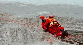 Lód się załamał, strażacy pospieszyli na ratunek!
