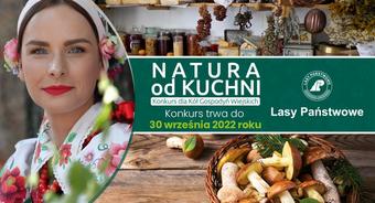 Zdrowa żywność z polskich lasów – konkurs dla Kół Gospodyń Wiejskich